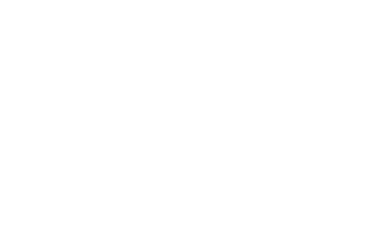 Wonders & Worries logo